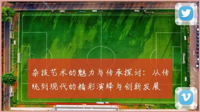 杂技艺术的魅力与传承探讨：从传统到现代的精彩演绎与创新发展